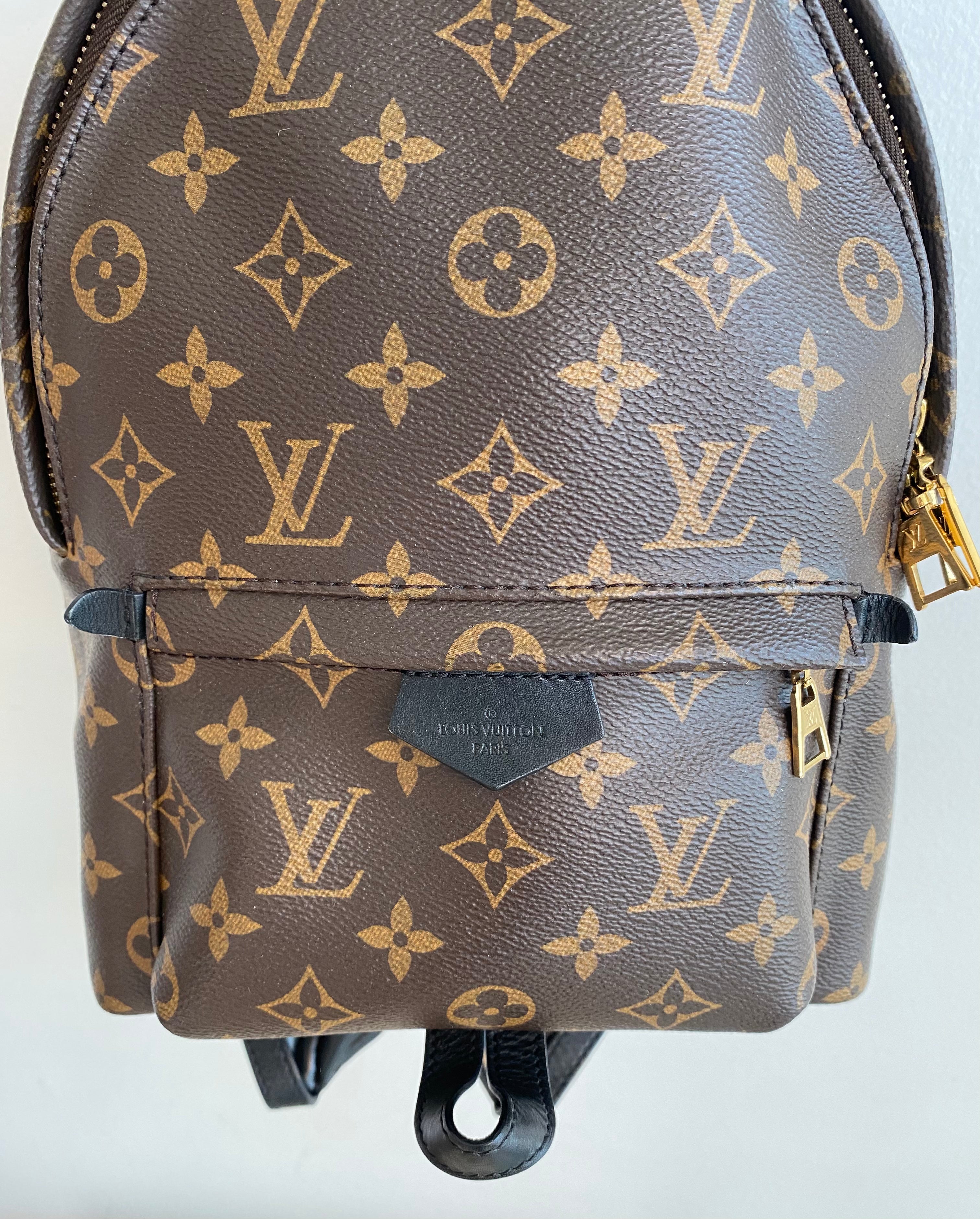 Balo Louis Vuitton Palm Springs PM Centimetvn #32 Balo Louis Vuitton Palm Springs PM Centimetvn